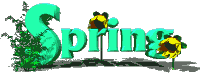 20060313111008-spring.gif